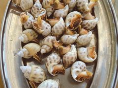 白灼花螺-七鲜渔港美食餐厅(巽寮湾海景店)