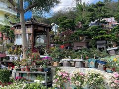 -海吉星国际农产品物流管理有限公司