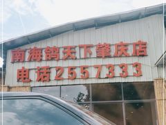 -南海鸽天下(肇庆店)