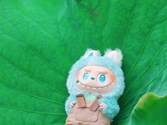 -前关湿地公园