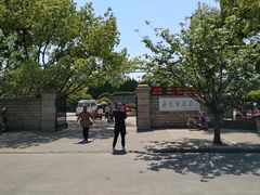 -嘉定紫藤园