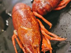 -红盔甲·小龙虾(天钥桥店)