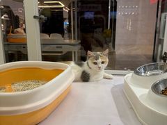 -CGV影城(滨江天街IMAX店)