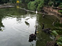 -海南热带野生动植物园
