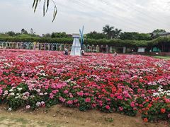 -盈香心动乐园