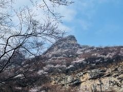 -濂泉响谷