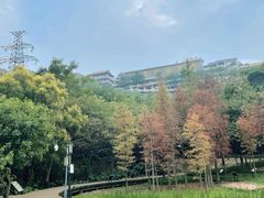 -顺峰山公园