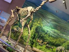 -陕西自然博物馆