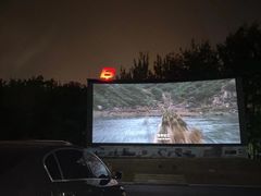 -枫花园汽车电影院(朝阳公园店)