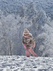 -大秃顶子山