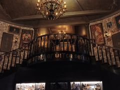 -雪灵魔法世界SHELLY’S TAROT(大良桂畔里店)