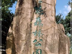 -昆山城市生态森林公园