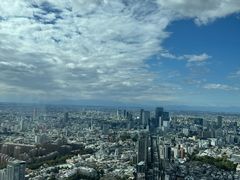 -六本木新城展望台(东京城市景观)