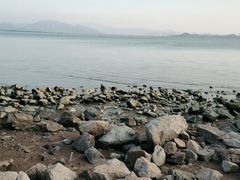 -深圳湾公园(南山区)