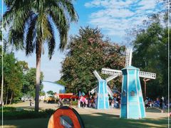 -南宁良凤江国家森林公园