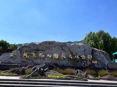 -北京西山国家森林公园