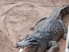 -西霞口神雕山野生动物世界