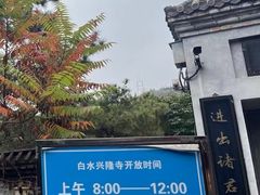 -白水寺森林公园