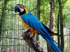 -北京野生动物园