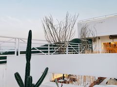 -Blue Concept Cafe&Farm·關於藍