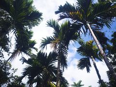 -七仙岭温泉国家森林公园