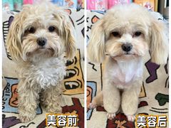 -中农大我爱我爱动物医院·核磁CT·猫病·24小时夜诊中心(石佛营店)