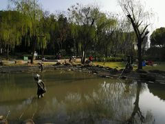 -苏州河梦清园环保主题公园