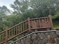 -平湖九龙山旅游度假区