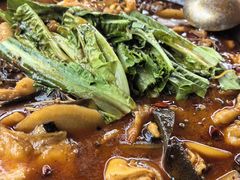 -都江堰石锅鱼