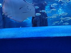 -秦皇岛新澳海底世界