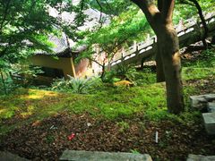 -雨花胜境
