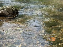 -安吉龙王山峡谷漂流