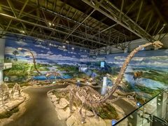 -自贡恐龙博物馆