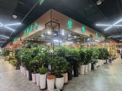 -大自然花鸟鱼虫市场
