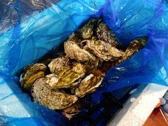 -白沙洲农产品大市场海鲜交易区
