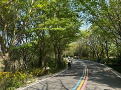 -同里国家湿地公园