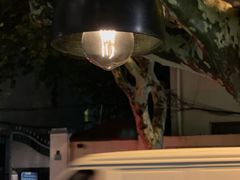 -Apollo·西班牙小酒馆(安福路店)