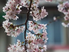 -永乐路-路侧停车场