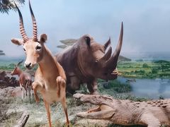 -国家自然博物馆