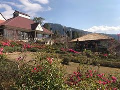 -优游吧斯邹族文化部落