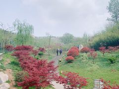 -白鹿原影视城