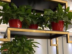 -新名仕(仙霞路店)