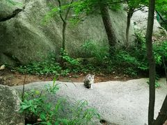 -崂山巨峰游览区