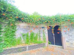 -慈城古县城景区