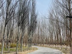 -东郊湿地公园