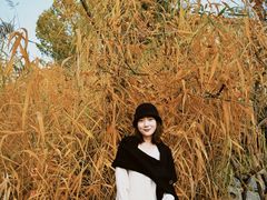 -碑林公园