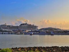 -上海吴淞炮台湾国家湿地公园