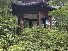 -杭州黄龙洞