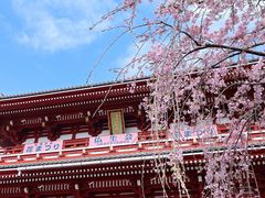 -浅草寺