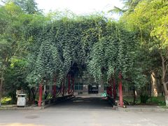 -陕西师范大学(雁塔校区)
